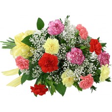 15 Mix Carnation Bouquet